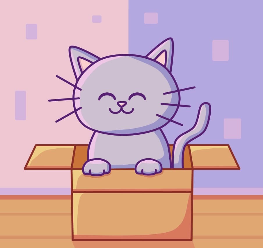 Cat in a box
