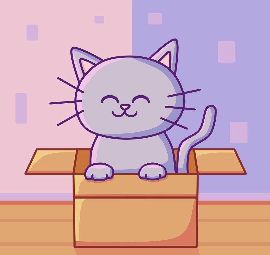 Cat in a box